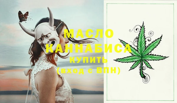гашик Гусь-Хрустальный