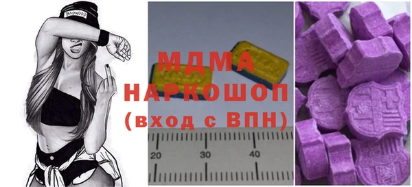 гашик Гусь-Хрустальный