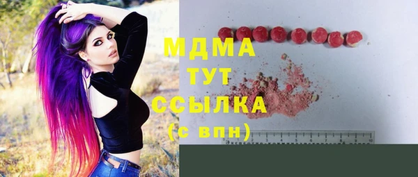гашик Гусь-Хрустальный