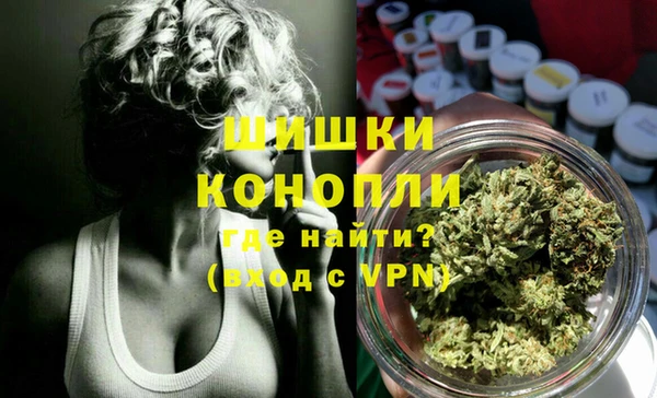 гашик Гусь-Хрустальный