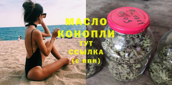 гашик Гусь-Хрустальный