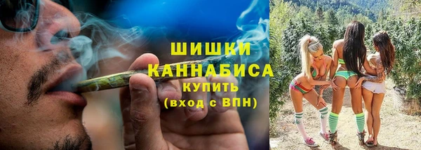 гашик Гусь-Хрустальный