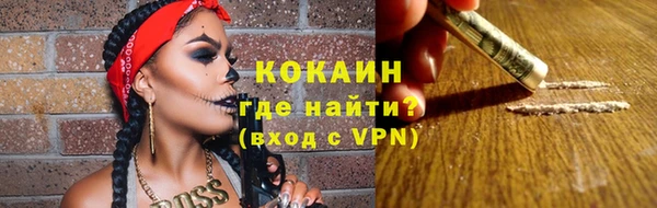 хмурый Новозыбков