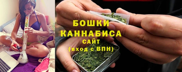 гашик Гусь-Хрустальный