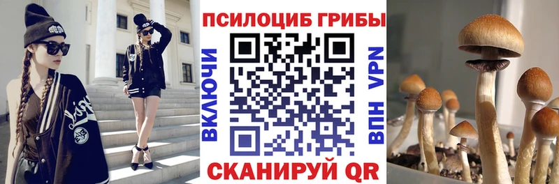 купить цена Бологое Псилоцибиновые грибы ЛСД